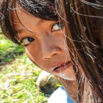 About gallery 002 free img